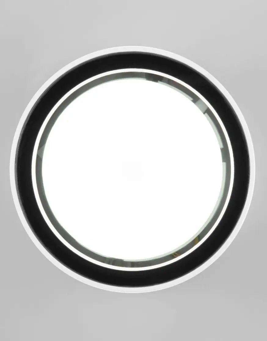 Уличный потолочный светильник Elektrostandard Light 4690389180828