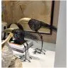 Статуэтка Птица Golden Beak