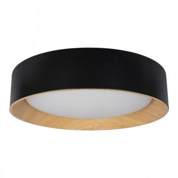 Потолочный светильник Loft IT Coin 10202 Black