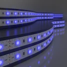 Светодиодная лента Elektrostandard 24V 14,4W 60Led 5050 IP65 синий, 5м 4690389167799