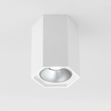 Накладной светодиодный светильник Elektrostandard 25036/LED 4690389176487