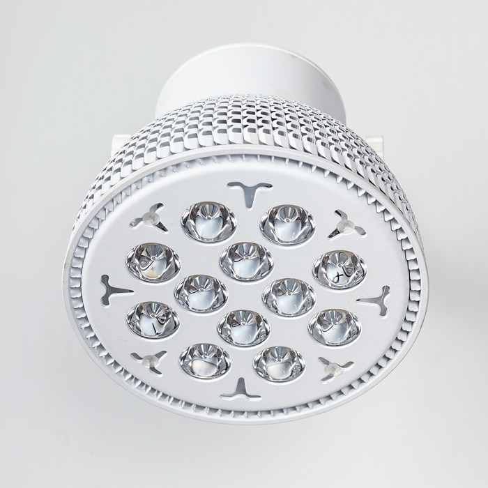 Светильник настенно-потолочный MZSD-12-1W