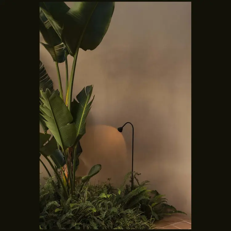 LILY 650 Уличный маяк на штыке черный LED 3W 2700K 24V