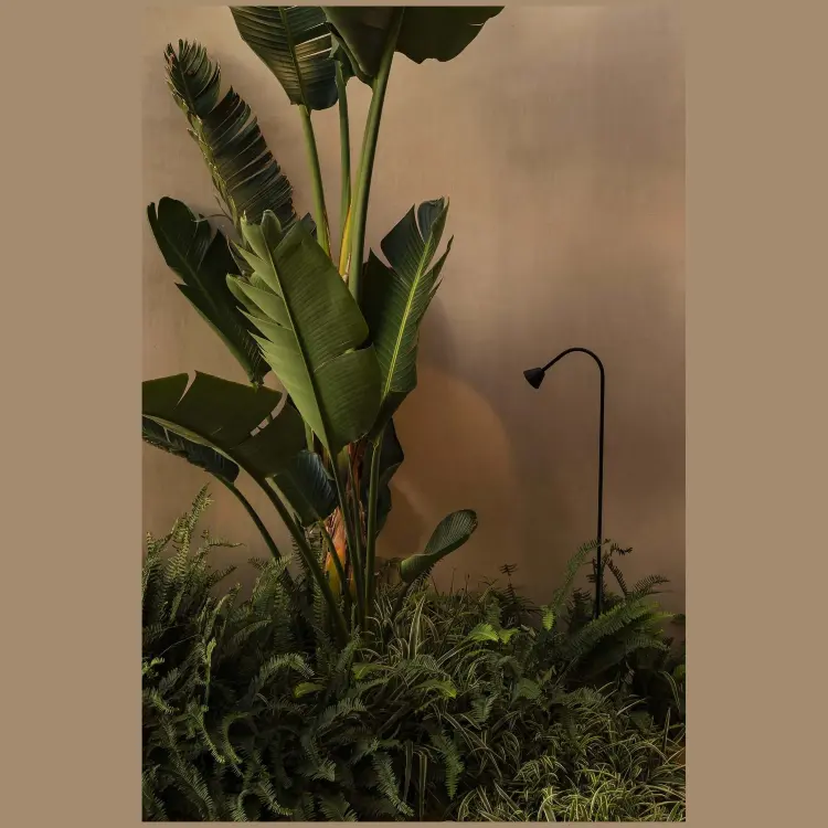 LILY 650 Уличный маяк на штыке черный LED 3W 2700K 24V