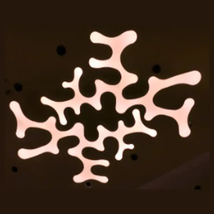 Люстра потолочная Ameba MC215/2