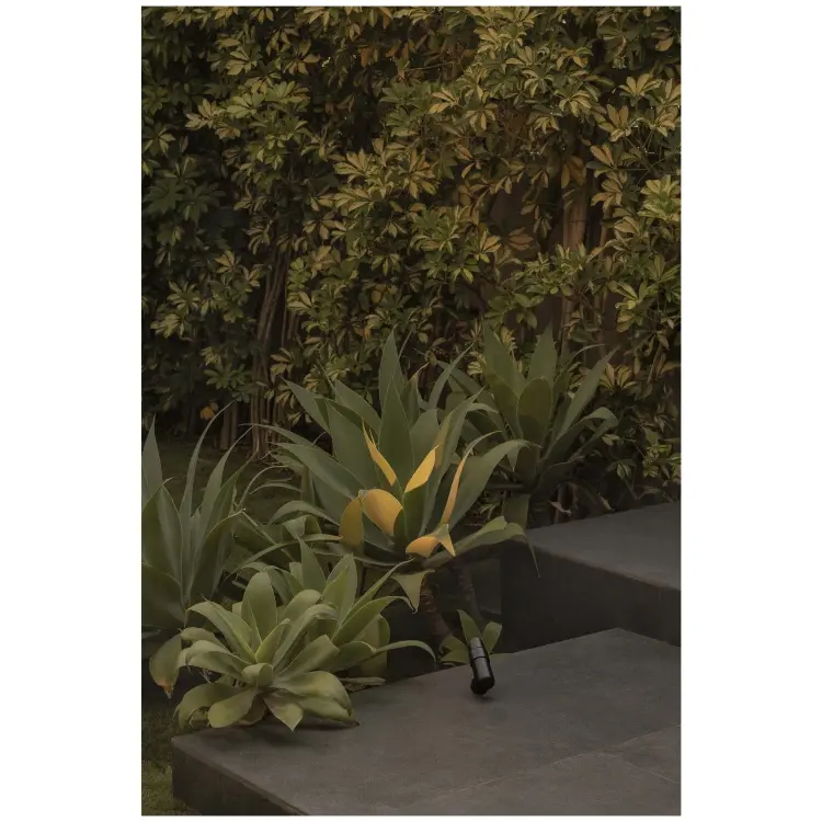 Уличный светильник PUK PROYECTOR черный LED Ш36 4W 3000K 20°