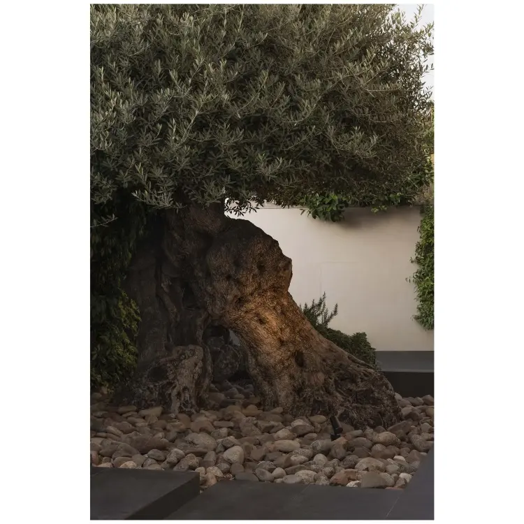 Уличный светильник PUK PROYECTOR черный LED Ш36 4W 3000K 20°