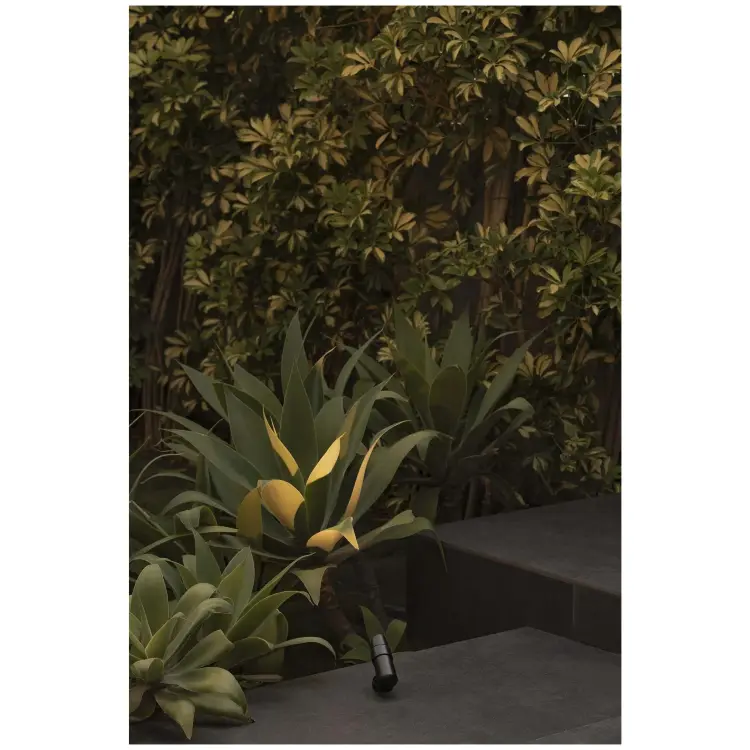 Уличный светильник PUK PROYECTOR черный LED Ш36 4W 3000K 20°