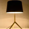 Лампа настольная Lumiere