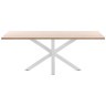 Стол Arya 160x100 белый натуральный