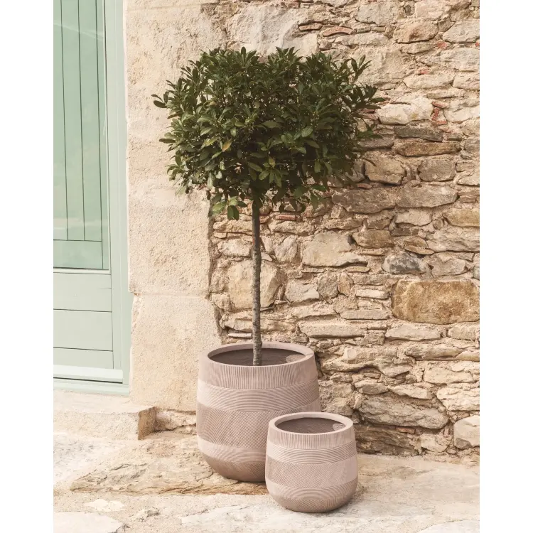 Набор из двух бежевых кашпо Tival с эффектом цемента, диаметр 50 см/34 см