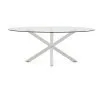 Овальный стол ARYA Argo из стекла, стальных ножек и белой отделкой 200x100