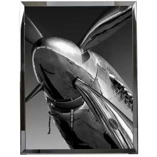 Картина FL-H215B