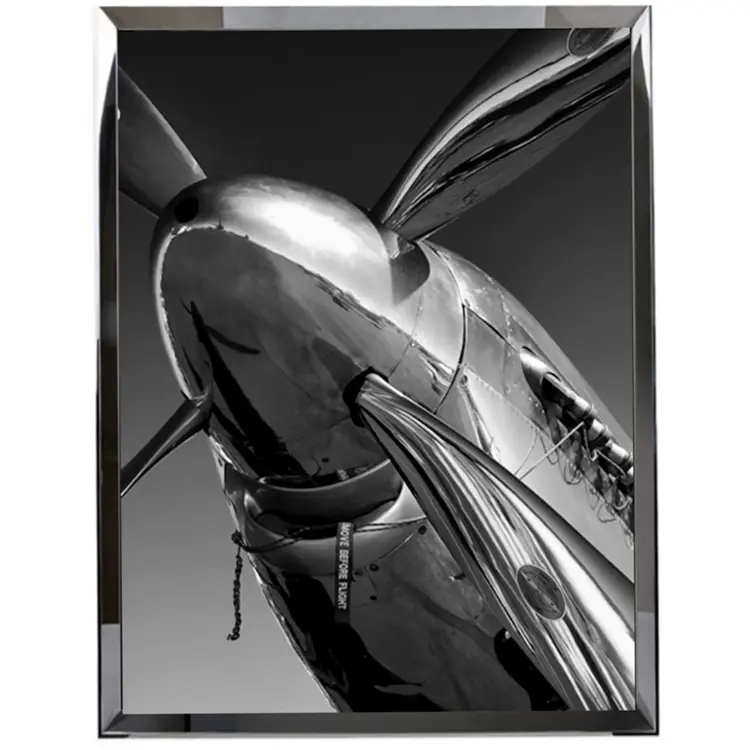 Картина FL-H215B