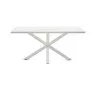 Стол Arya 160х100 белый