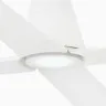 Потолочный вентилятор Typhoon LED белый