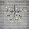 Люстра Heracleum D72