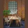 Люстра Heracleum D98
