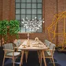 Люстра Heracleum D50