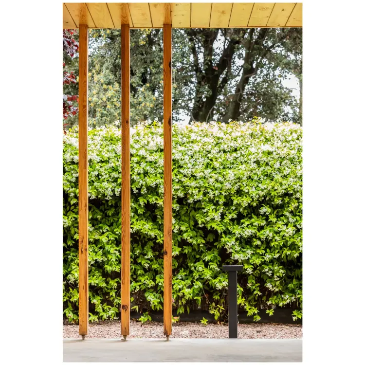 Черная проблесковая лампа Balic H600 2700-3000-4000K