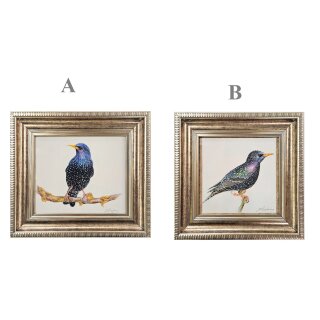 Картина авторская акварель "Скворец"