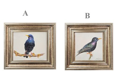 Картина авторская акварель "Скворец"