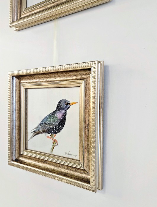 Картина авторская акварель "Скворец"