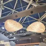 Люстра Tense Pendant Light D60