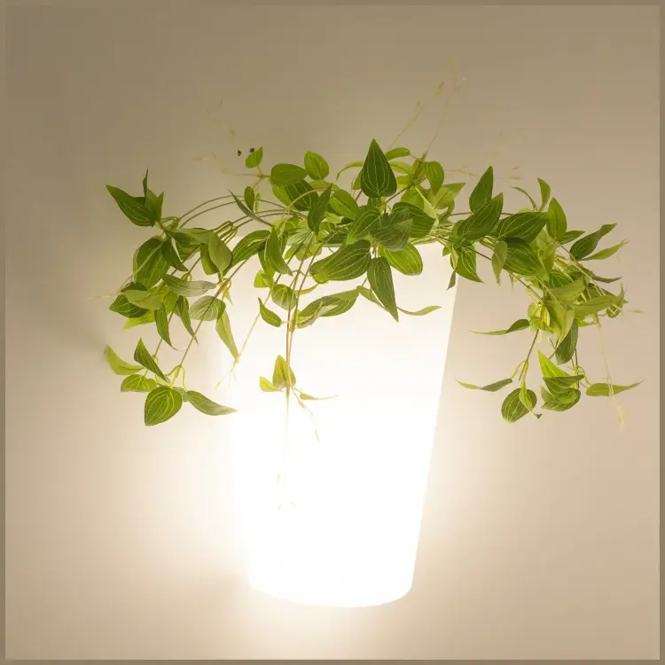 Настенный уличный светильник TEJA 6508