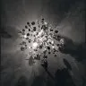 Светильник настенно-потолочный Argent